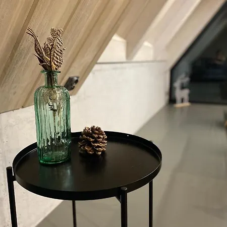 W Szczyrku Sauna & Balia 別荘