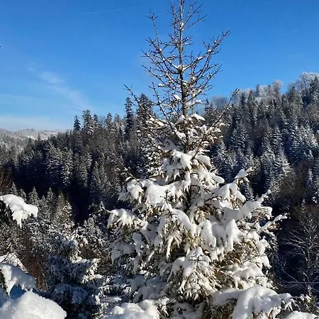 W Szczyrku Sauna & Balia