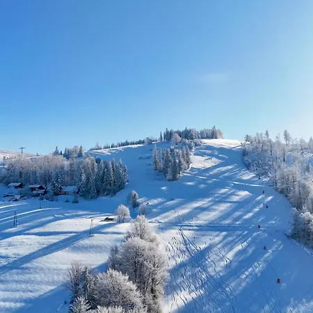 W Szczyrku Sauna & Balia * シュチルク