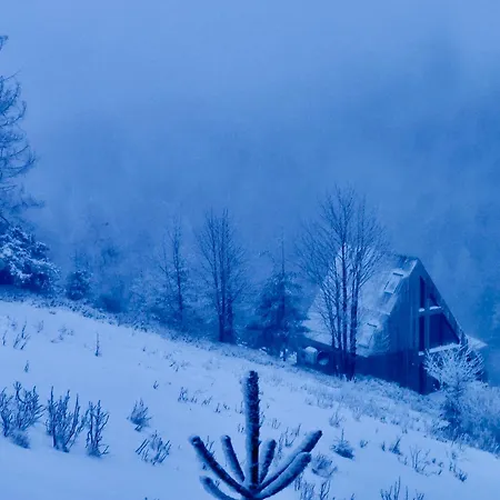 W Szczyrku Sauna & Balia シュチルク