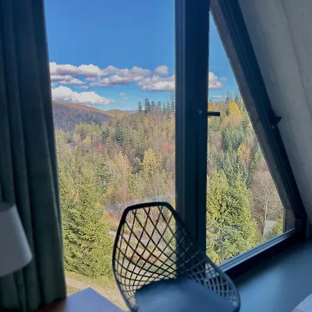 W Szczyrku Sauna & Balia 別荘