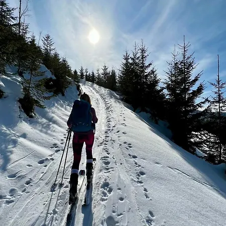 W Szczyrku Sauna & Balia 別荘 *