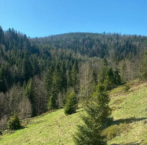 W Szczyrku Sauna & Balia شتوروك