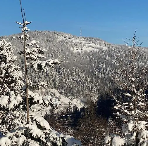 Holiday home W Szczyrku Sauna & Balia Szczyrk