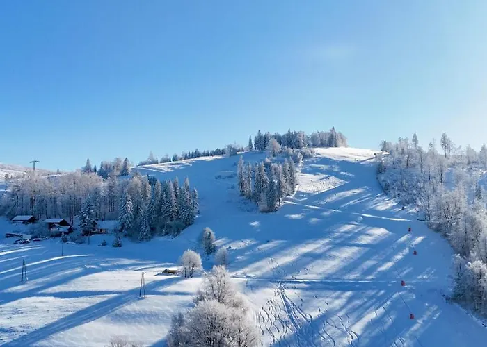 W Szczyrku Sauna & Balia * شتوروك