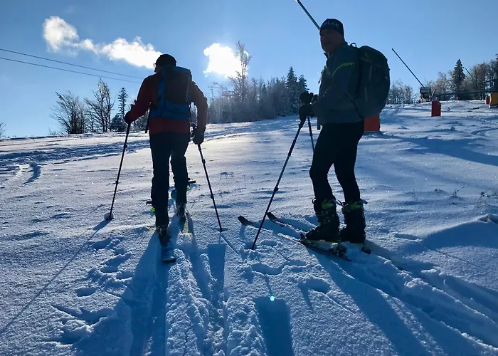 بيت للعطل W Szczyrku Sauna & Balia *